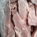 肥猪三七碎肉二八碎肉精修一九碎肉精碎肉食堂饭店专用