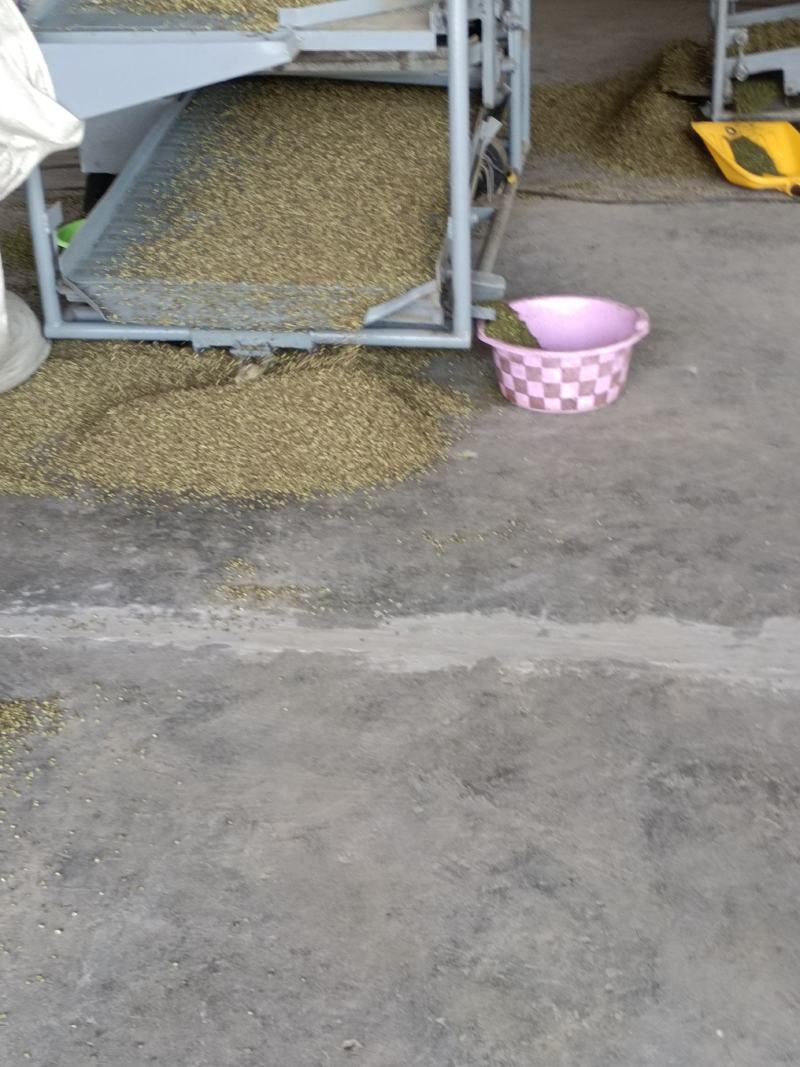 陕西合阳花椒