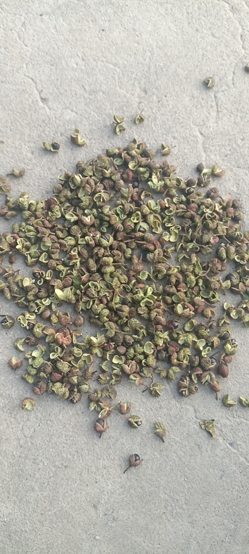 陕西合阳花椒