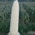 水果玉米精品水果玉米白糯玉米花糯玉米需要联系