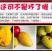 特价海南大金煌芒果水仙芒甜心芒当季新鲜热带水果大青芒整箱
