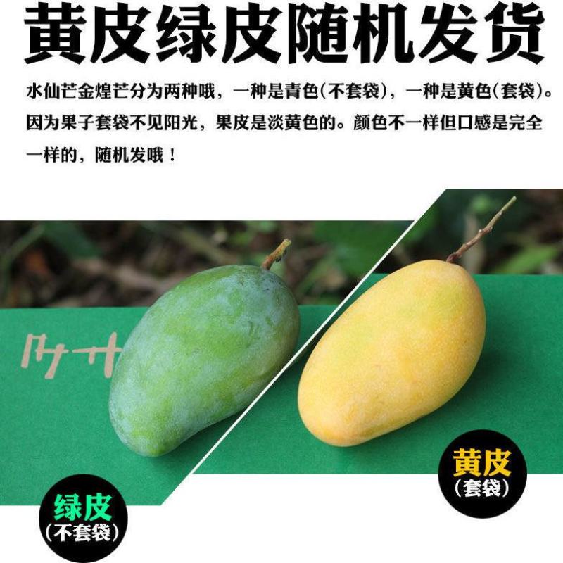 特价海南大金煌芒果水仙芒甜心芒当季新鲜热带水果大青芒整箱