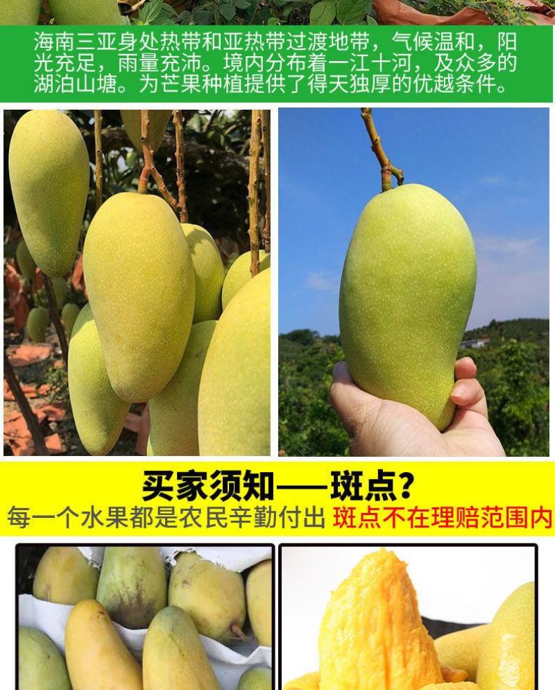 特价海南大金煌芒果水仙芒甜心芒当季新鲜热带水果大青芒整箱