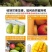 特价海南大金煌芒果水仙芒甜心芒当季新鲜热带水果大青芒整箱