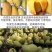 特价海南大金煌芒果水仙芒甜心芒当季新鲜热带水果大青芒整箱