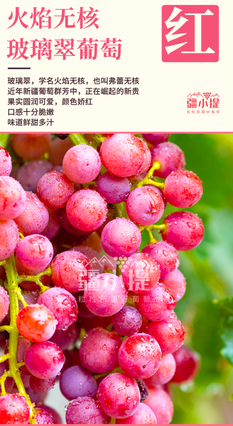 2025年吐鲁番葡萄鲜果上市，新鲜好吃一件代发包邮