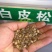 白皮松种子园林绿化树松树种子白皮松树树苗种子