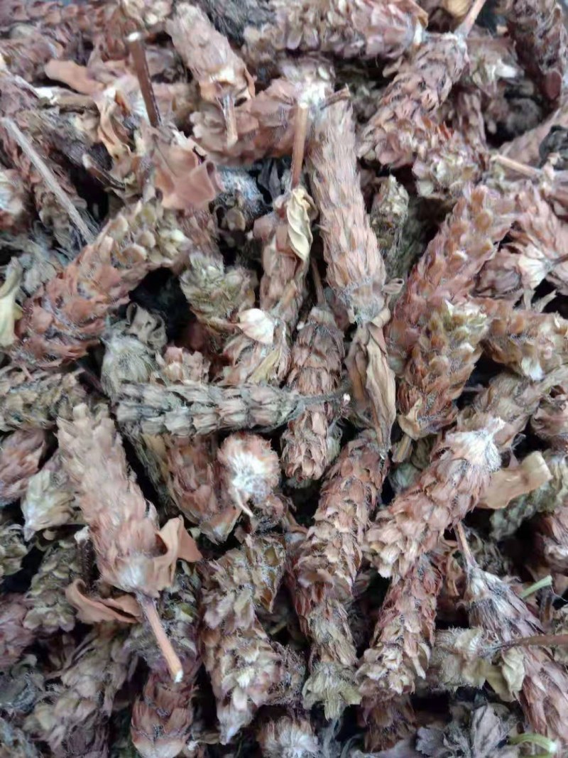 夏枯球，全球，大货大量供应，颜色漂亮，欢迎你的订购