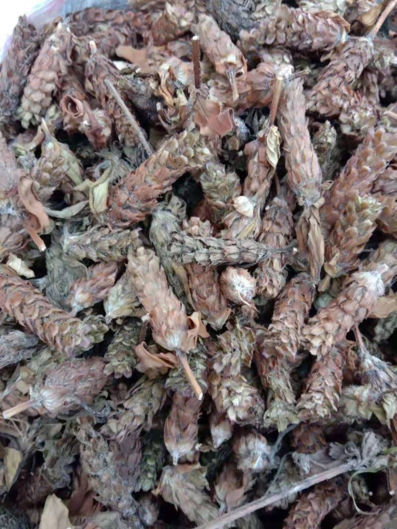 夏枯球，全球，大货大量供应，颜色漂亮，欢迎你的订购