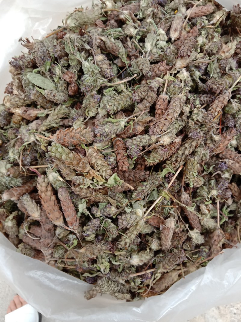夏枯球，全球，大货大量供应，颜色漂亮，欢迎你的订购