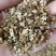 轮峰菊种子紫盆花山萝卜花卉耐寒四季观花春秋播花松虫草种子