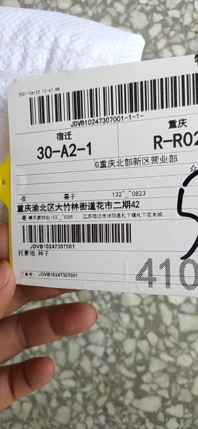 披碱草种子护坡固土草籽矿区耐盐碱草坪种子件碱毛草矿区覆绿