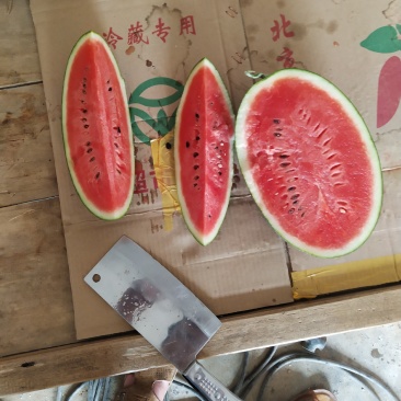 黑美人西瓜货源充足价格稳定欢迎新老客户前来选购
