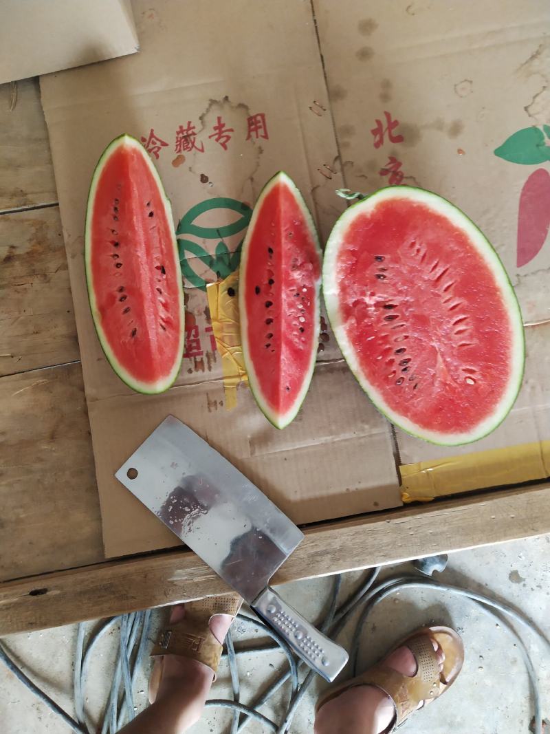 黑美人西瓜货源充足价格稳定欢迎新老客户前来选购