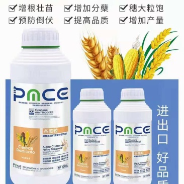 谷美粒
