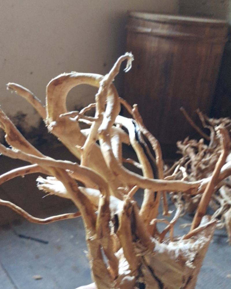 鱼缸沉木杜鹃根