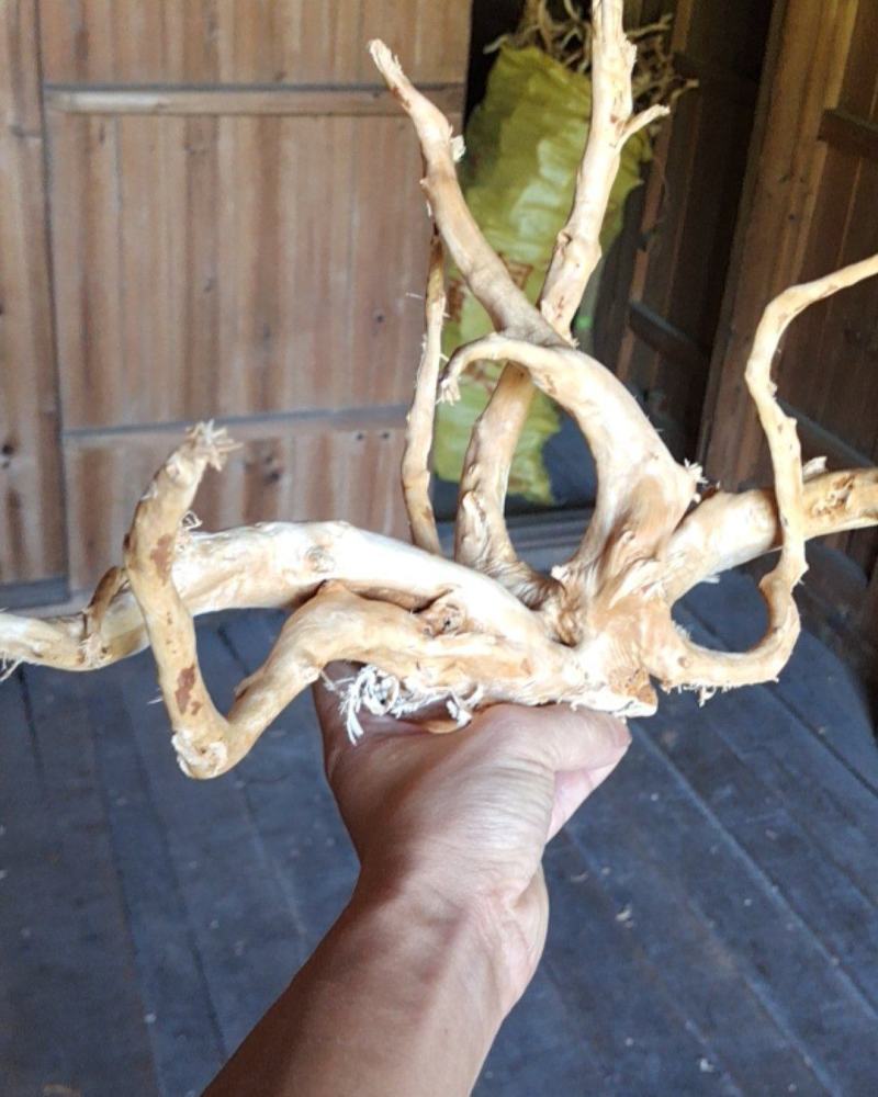 鱼缸沉木杜鹃根