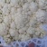 辽宁精品菜花小米松花菜大量上市中，供各大超市市场