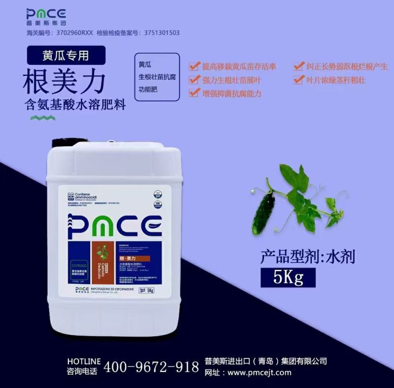 黄瓜西红柿膨果着色
