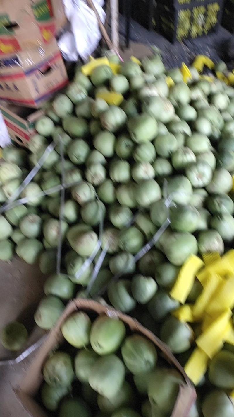 精品甜瓜绿宝清甜可口产地直供专业代办