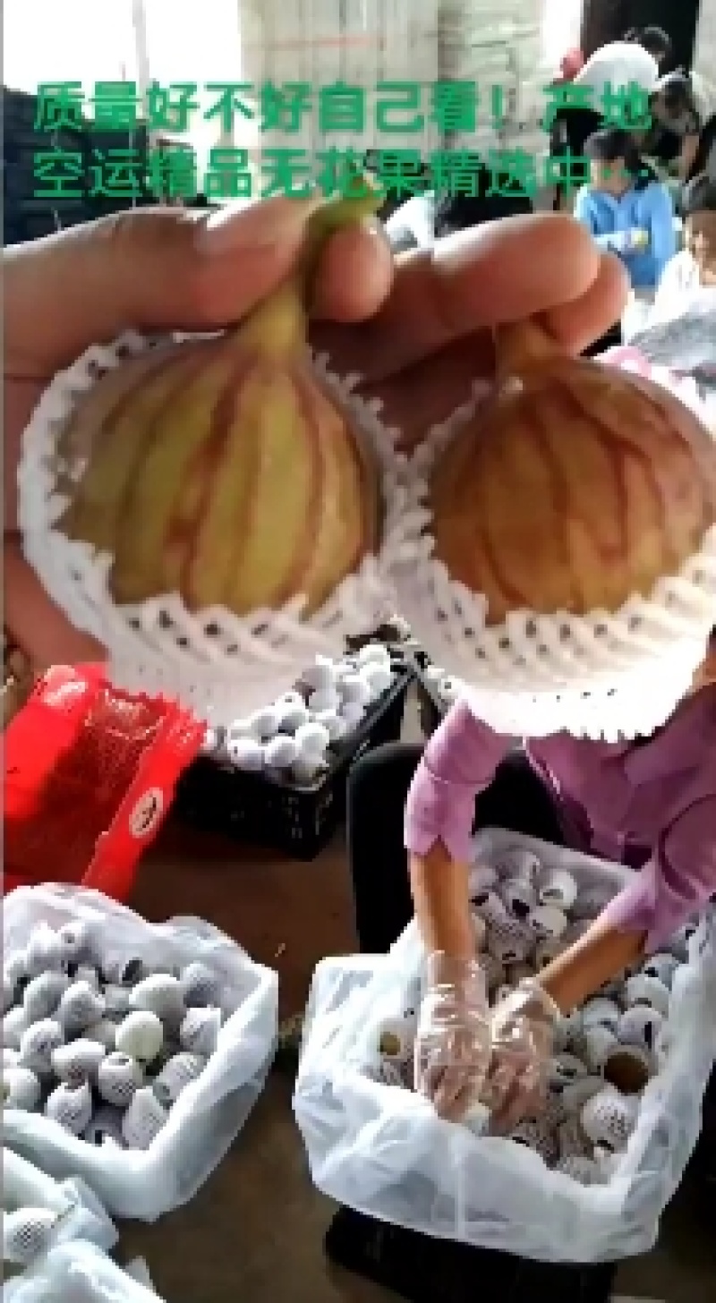 无花果