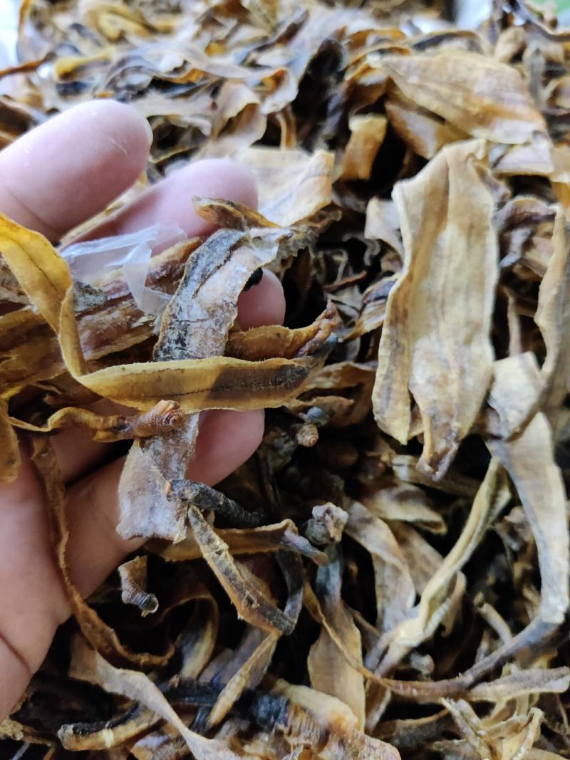 地龙一斤起批无硫无添加个子切片地龙全开半开
