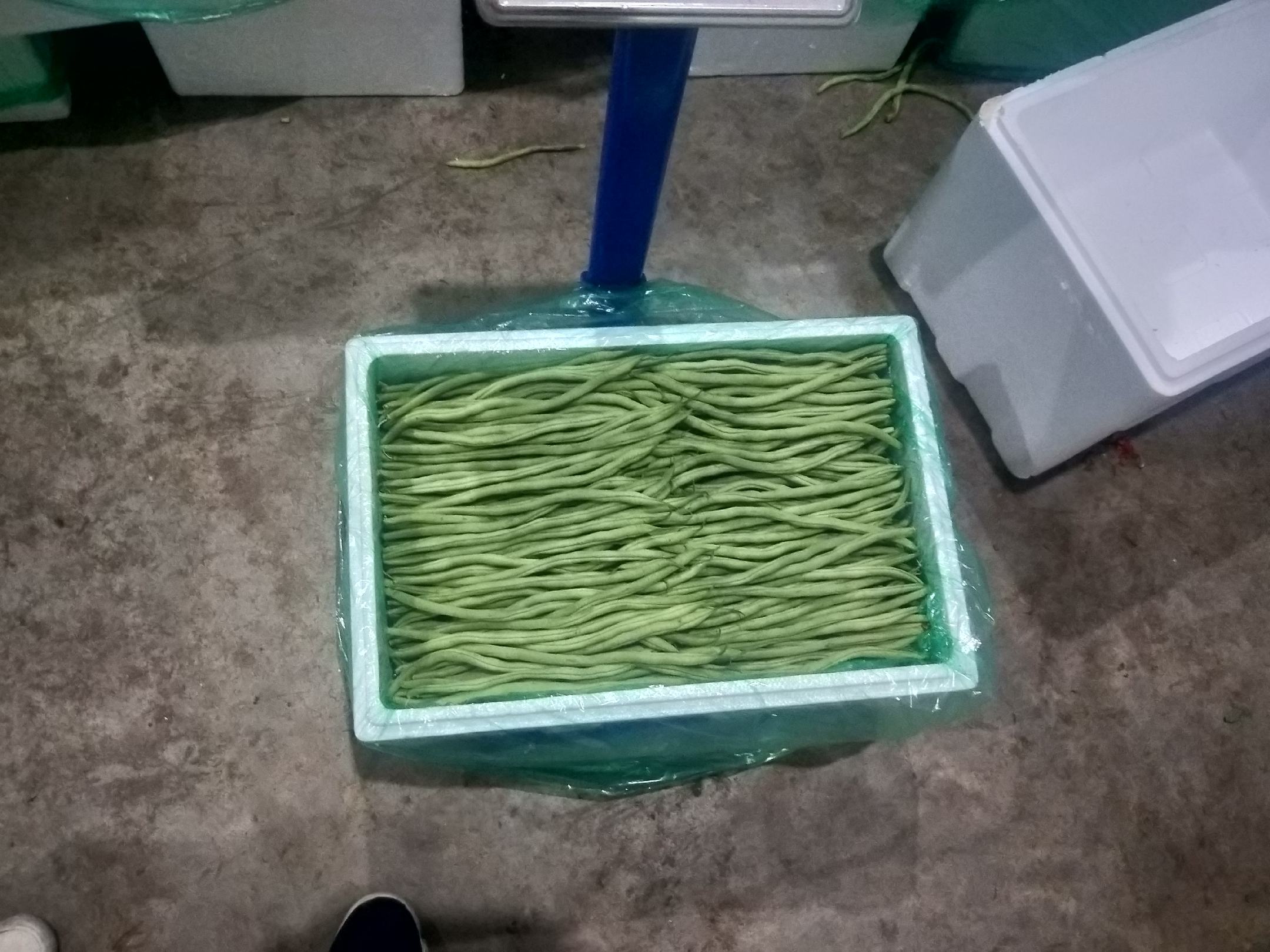 扁豆角储存注意事项