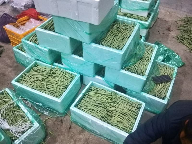 精品豆王