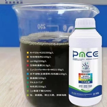 十六元素