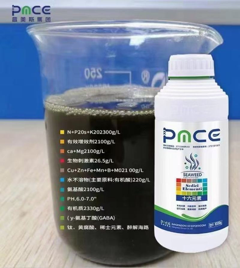 十六元素