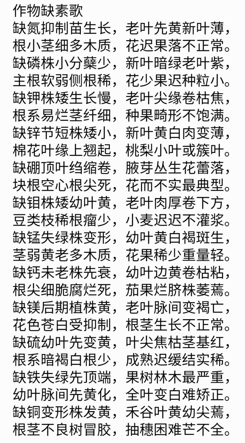 十六元素