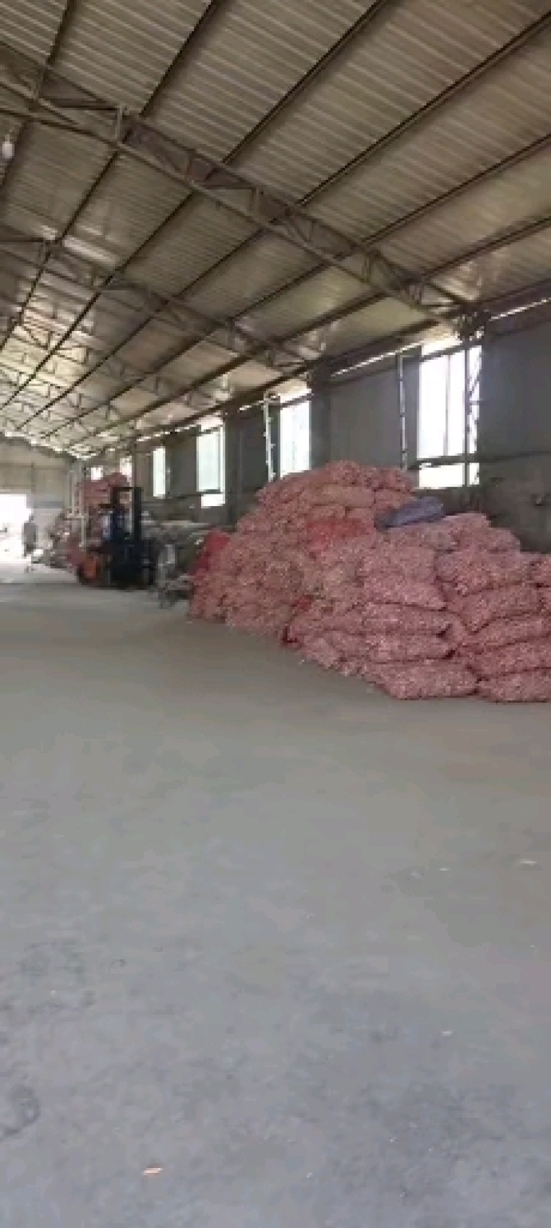 精品大蒜大量上市一手货源保质保量产地直供量大从优