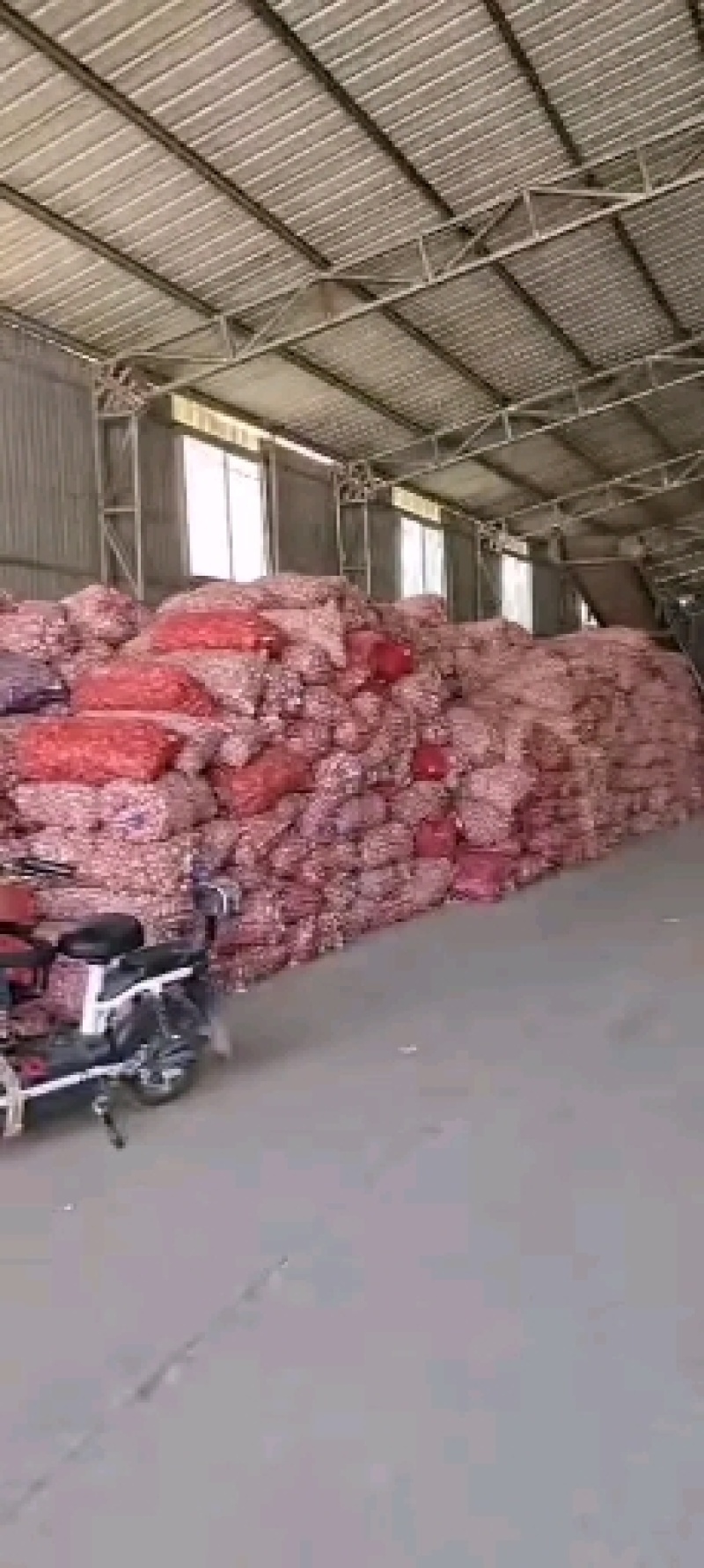 精品大蒜大量上市一手货源保质保量产地直供量大从优