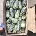 精品甜瓜绿宝清甜可口产地直供专业代办