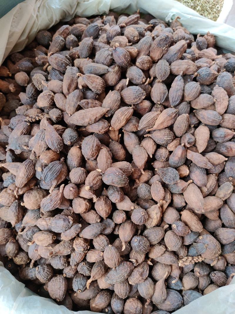 草果云南草果无添加中药材香料量大从优香料草果