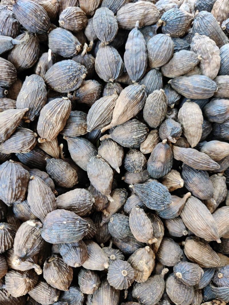草果云南草果无添加中药材香料量大从优香料草果