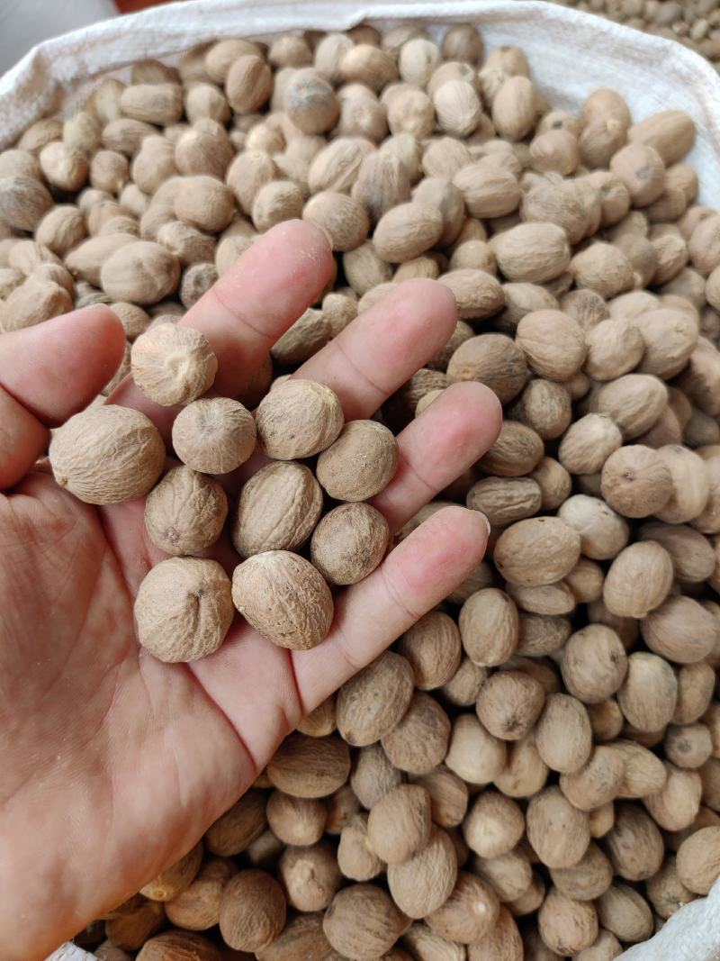 精品肉蔻肉豆蔻各种中药材调料批发零售实物