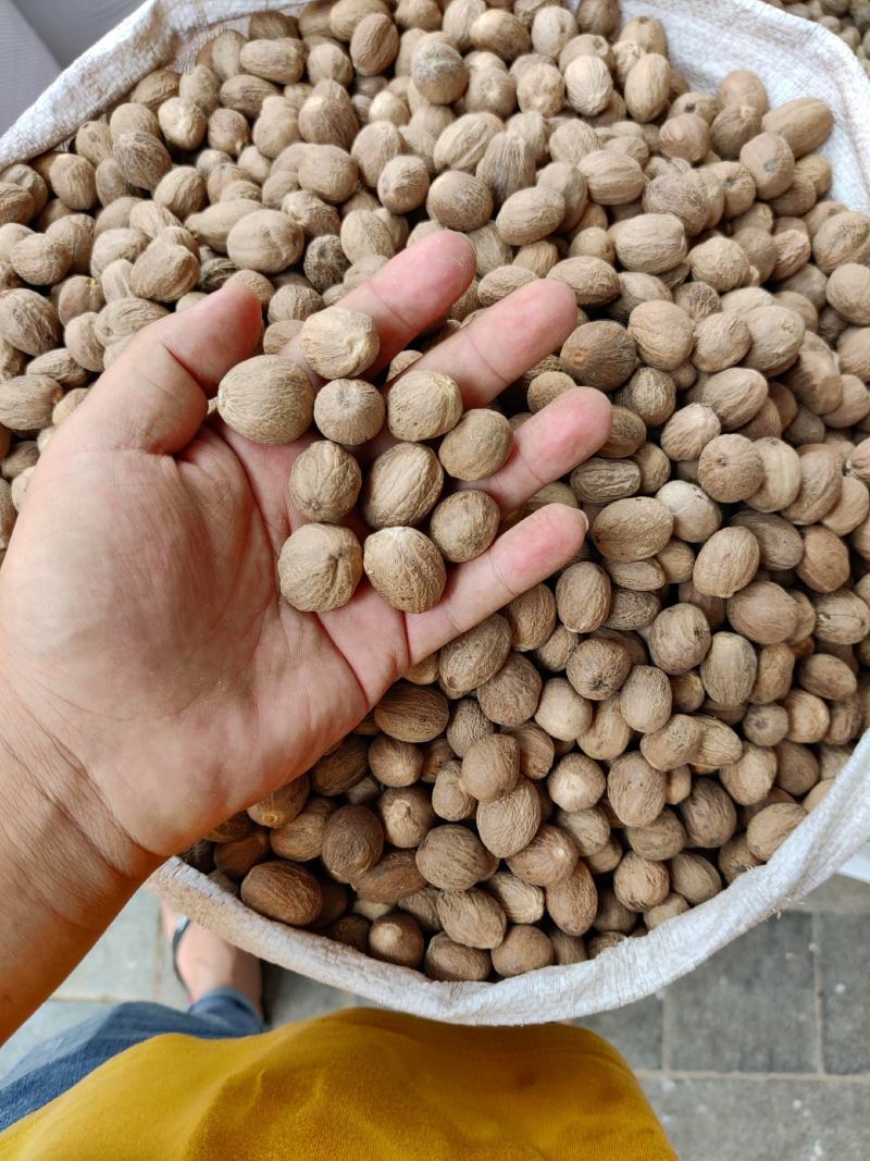 精品肉蔻肉豆蔻各种中药材调料批发零售实物