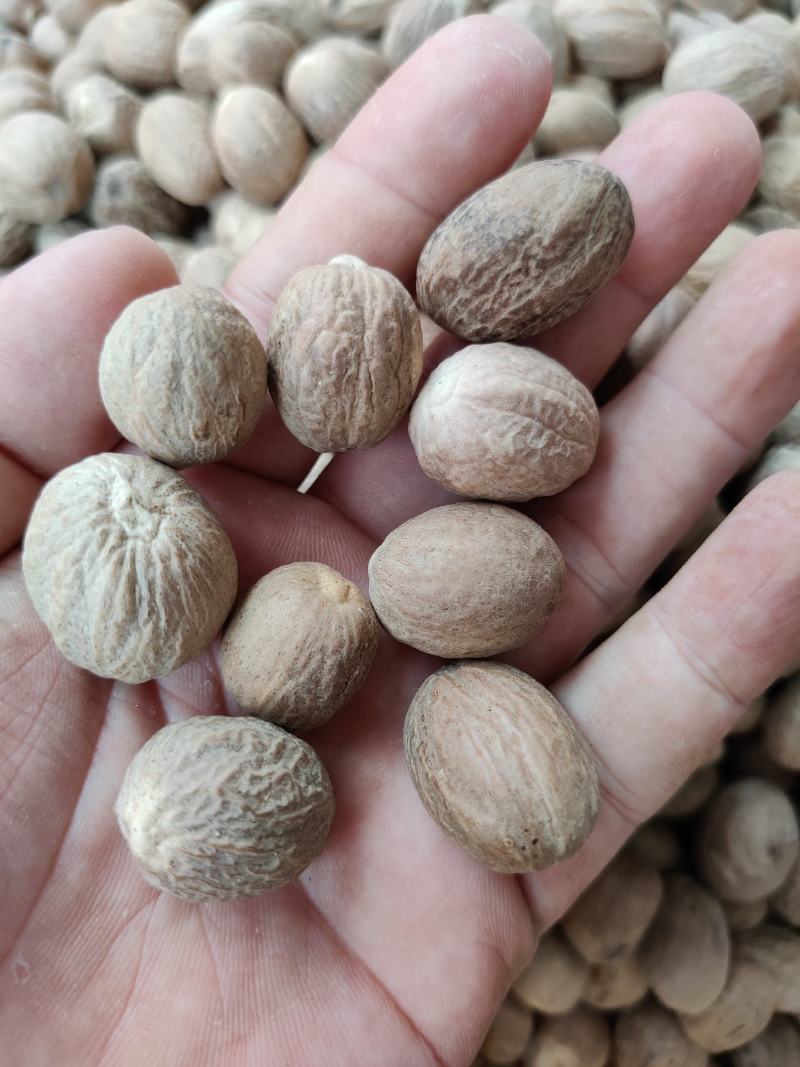 精品肉蔻肉豆蔻各种中药材调料批发零售实物