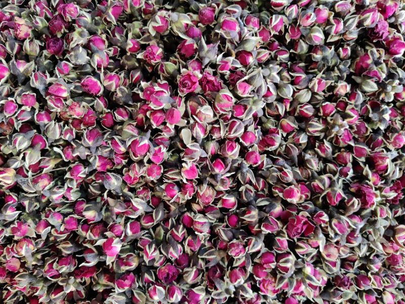 金边玫瑰花茶净货纯干度颜色鲜艳一公斤起批