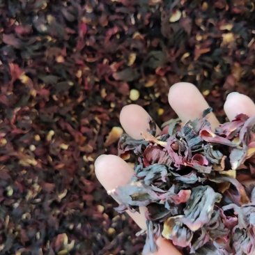 花茶洛神花玫瑰茄花茶干货一公斤起批