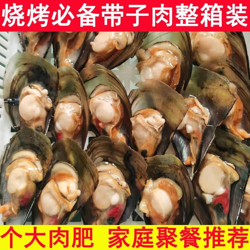 海鲜半壳带子15斤冷冻贝类绿贝带子约150个