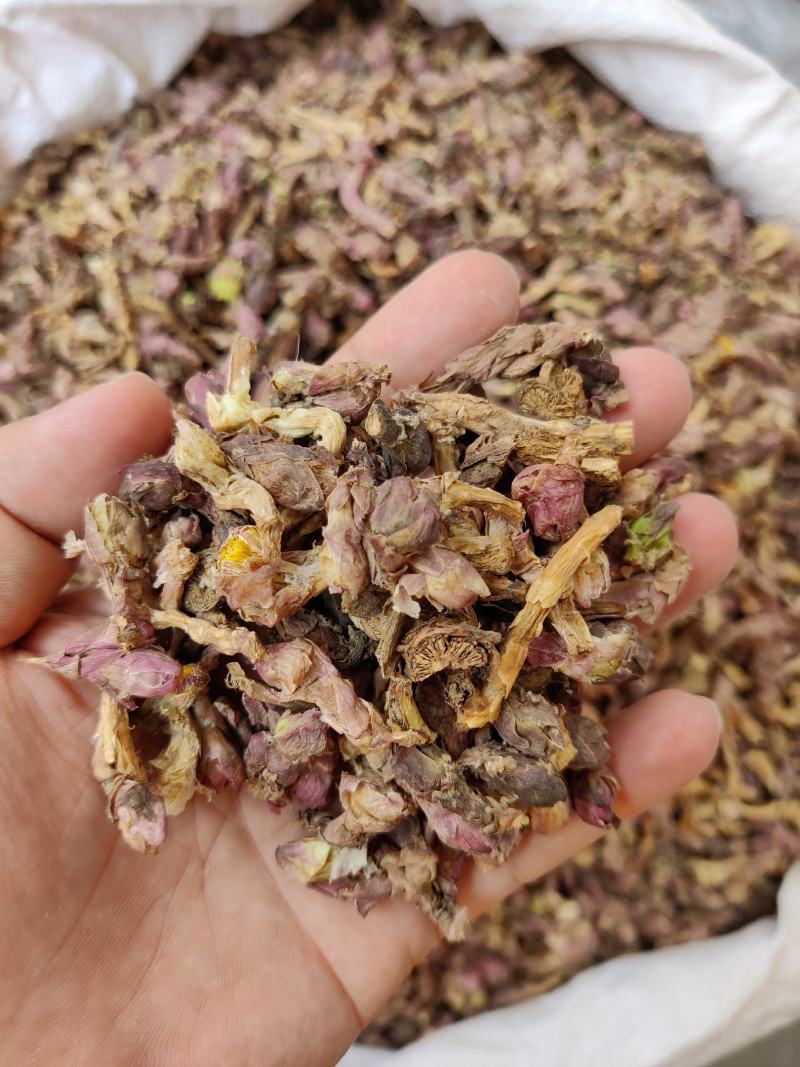 款冬花优质无硫款冬花色泽艳丽含苞欲放一公斤起批