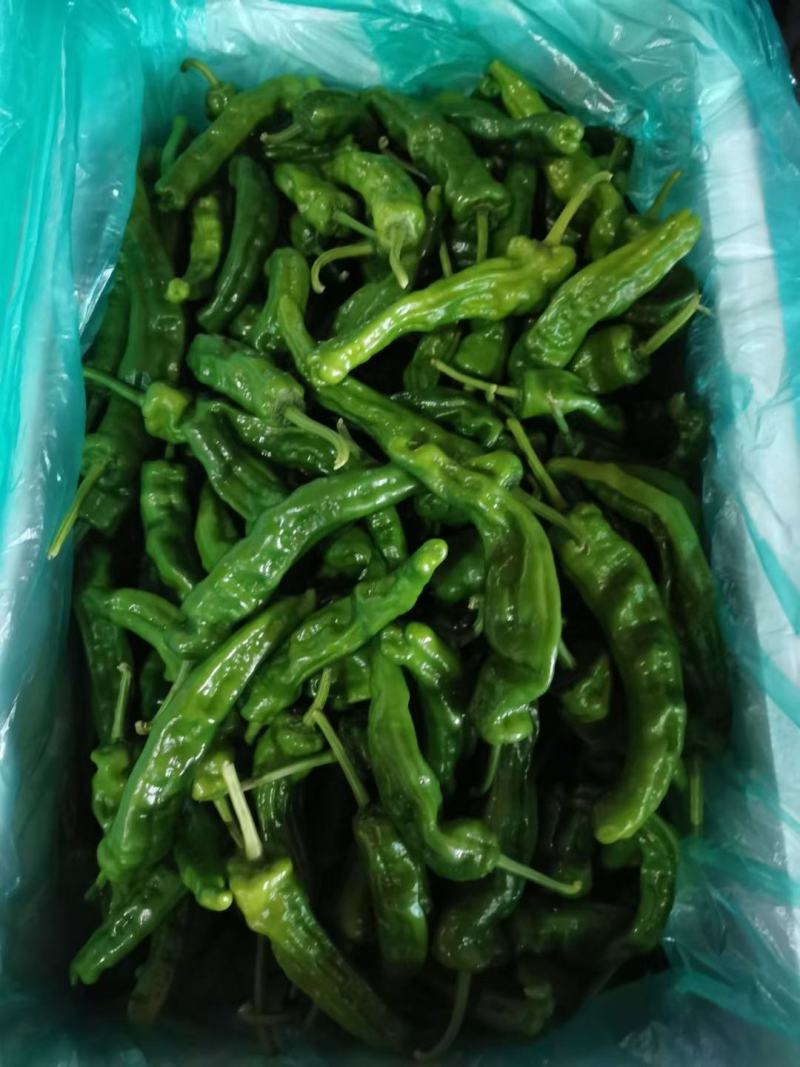 蔬菜