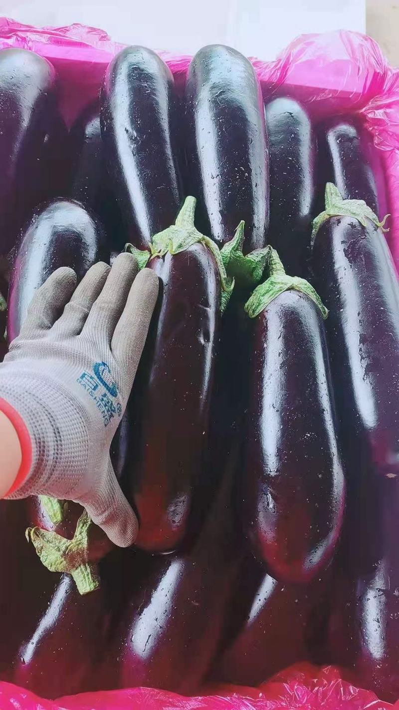 蔬菜
