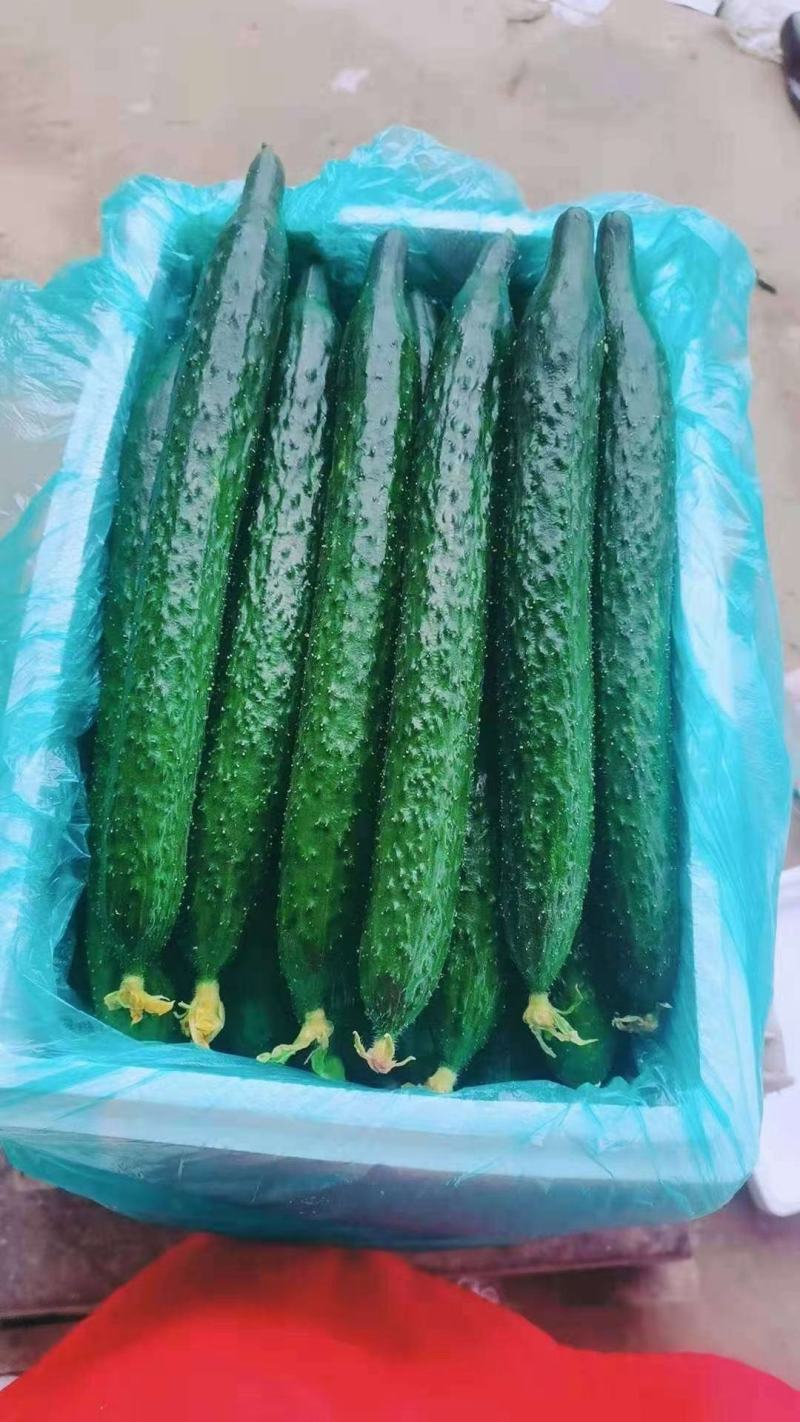 蔬菜