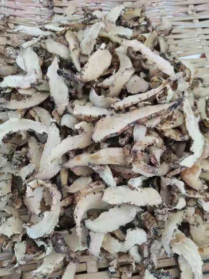 野生天麻广西野生天麻新鲜货，干货都有