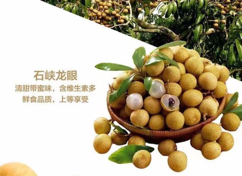 海南龙眼多汁肉厚嫩甜度口感好货源充足诚信代办代发