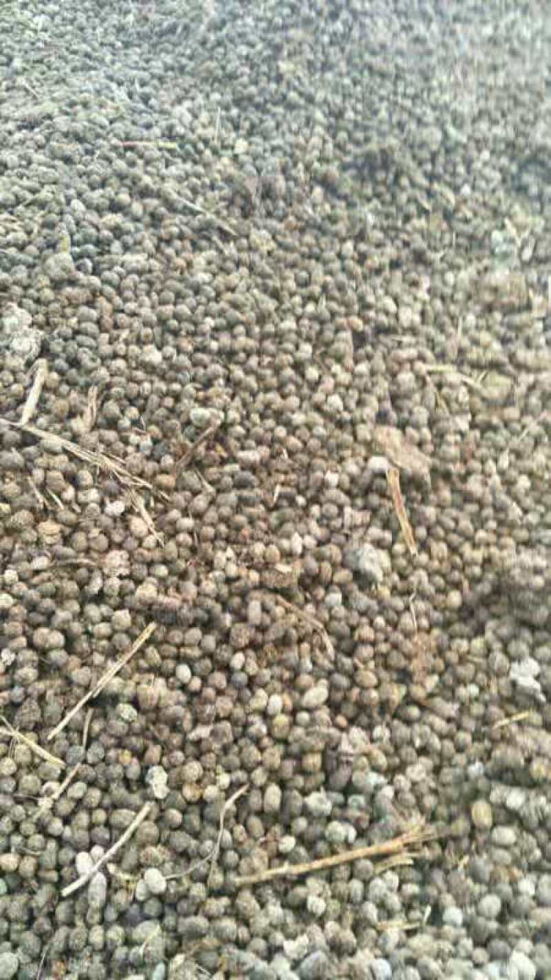 干羊粪颗粒状袋装散装一直被模仿从未被超越