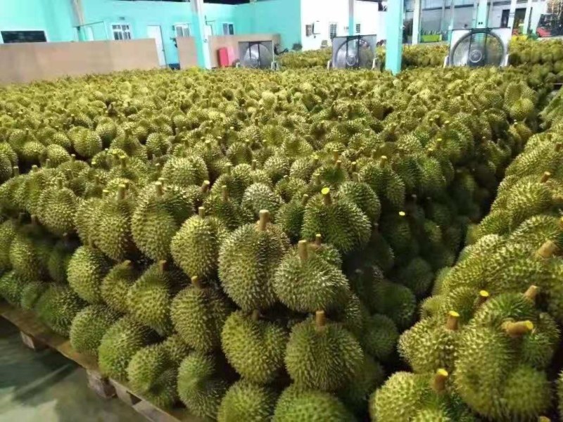 榴莲